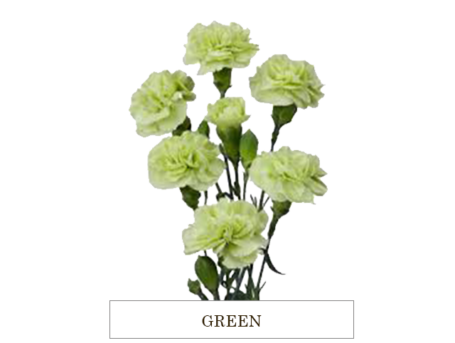 GREEN